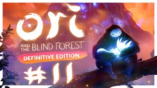 BIRD. WATCHING. | Let's Play Ori and the Blind Forest #11