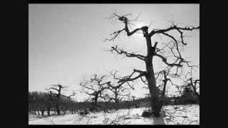 Krieg - Every Wound Burned