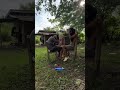 Viral full Video!#top #trending #foryou #funnyvideo #shortvideo #vairalvideo #comedy