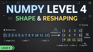 NumPy Level 4 Practice | Shape & Reshaping | reshape(), ndim, shape, size & flatten()