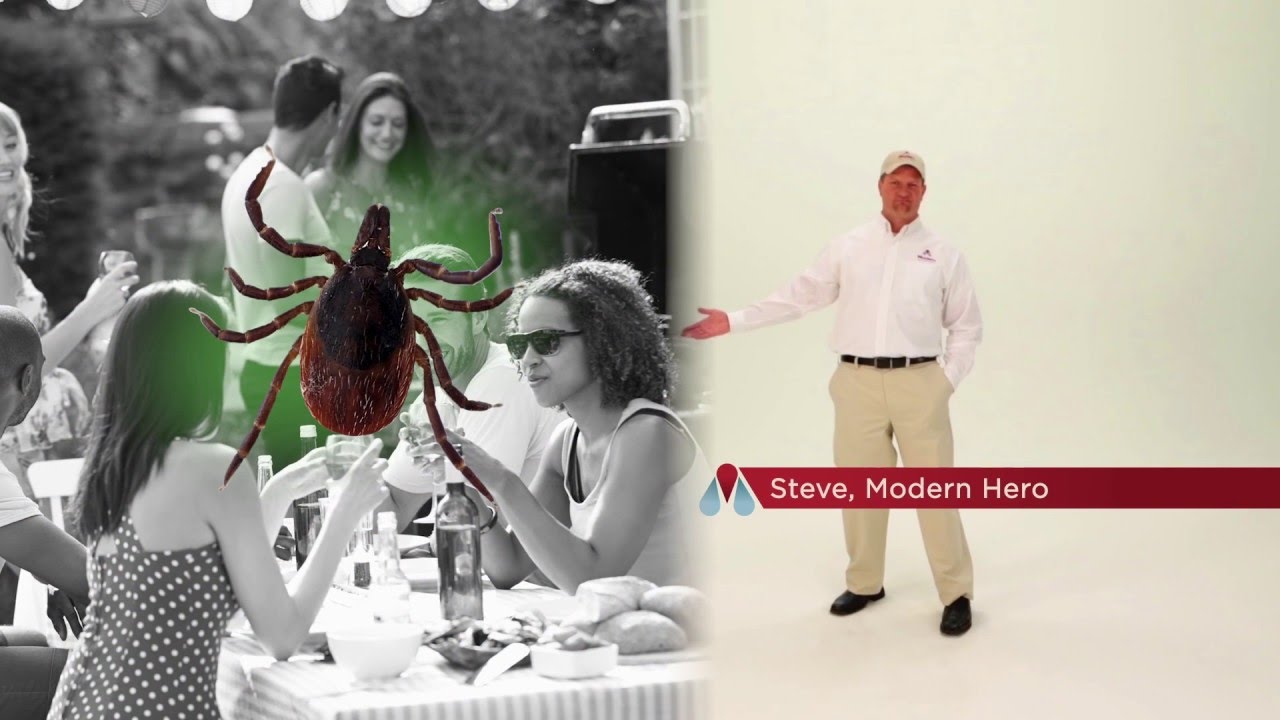 Are you having a problem with ticks? Let Modern Pest Services help.