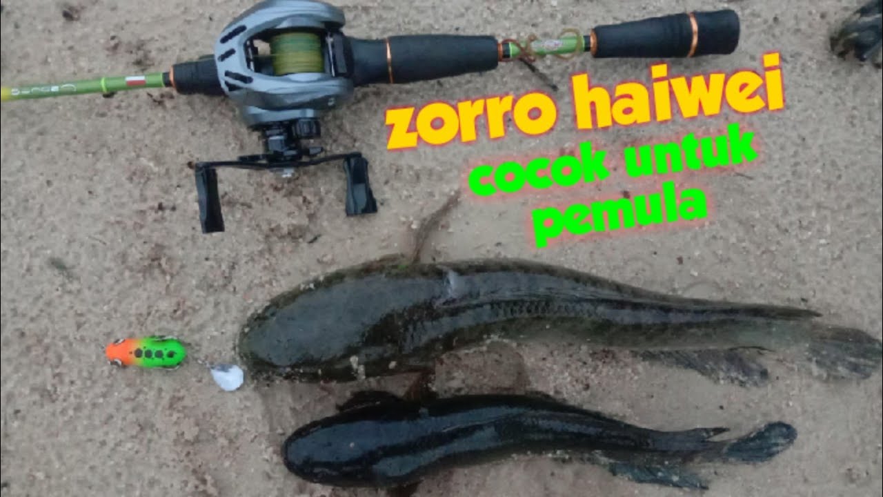 UJI COBA REL BC ZORRO HAIWEI.!!casting gabus di rawa