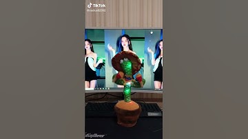 Thumbnail of kaktus mainan anak cowok 1 tahun #shorts #tiktok 🔗Link di Comment