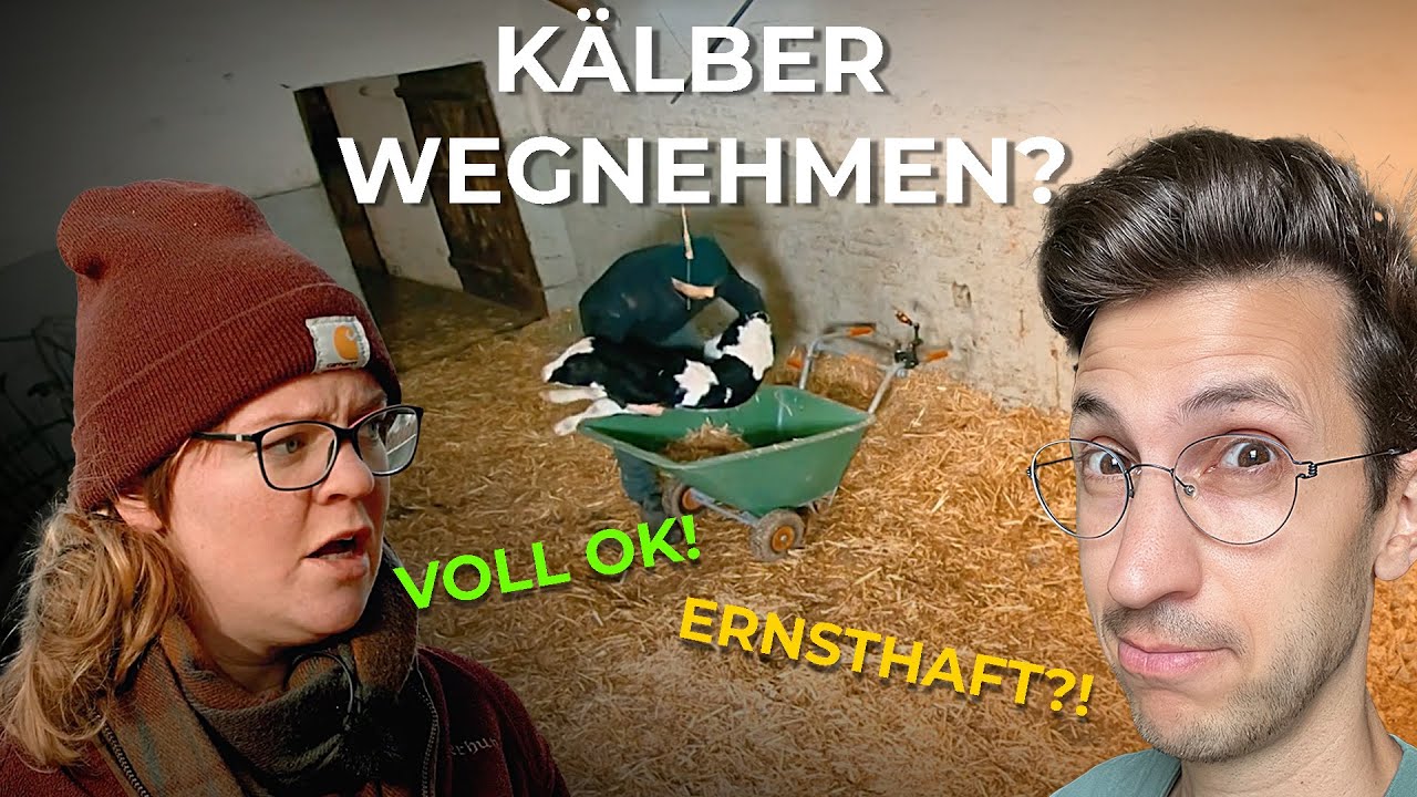 Bauernrechtfertigung zerlegt: Die grausame Wahrheit über Kuh & Kalb