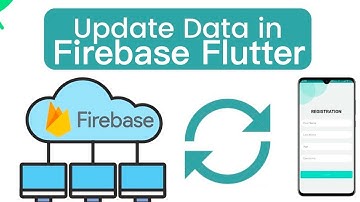 Flutter Firestore Update User Data Field