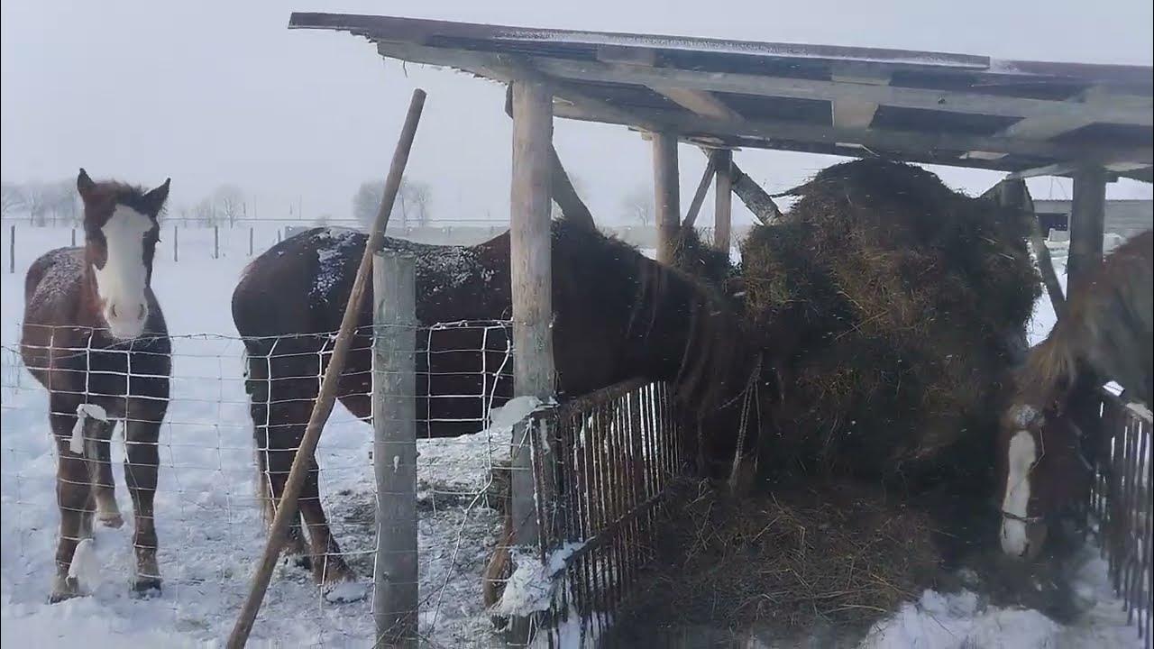 новые новесы под сено - YouTube