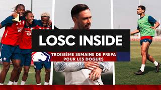 Troisième Semaine De Prépa Cap Sur Le Match Face À Lunion Saint-Gilloise Pour Les Dogues