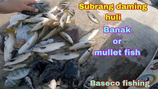 Unlimited fish on/banak or mullet fish(@jenrobstv @EtetWalkthrough/baseco manila bay