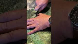 My student, Jesse, cutting stingray leather (shaky camera work done by yours truly)
