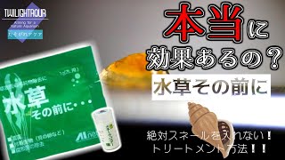 【水草その前に】水草購入時のスネール除去！本当に効果があるか検証してみた！#12【アクアリウム】