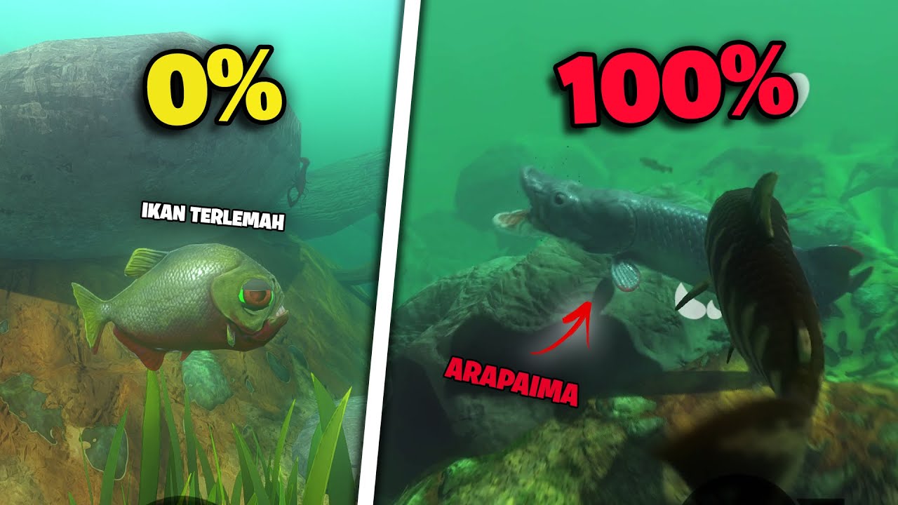 Gua Jadi Ikan TERLEMAH sampai bisa MENGALAHKAN ARAPAIMA Di Feed And Grow Fish