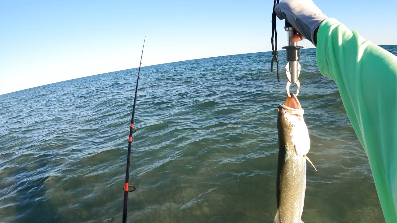 Surf Fishing Puerto Penasco, Rocky Pointe YouTube