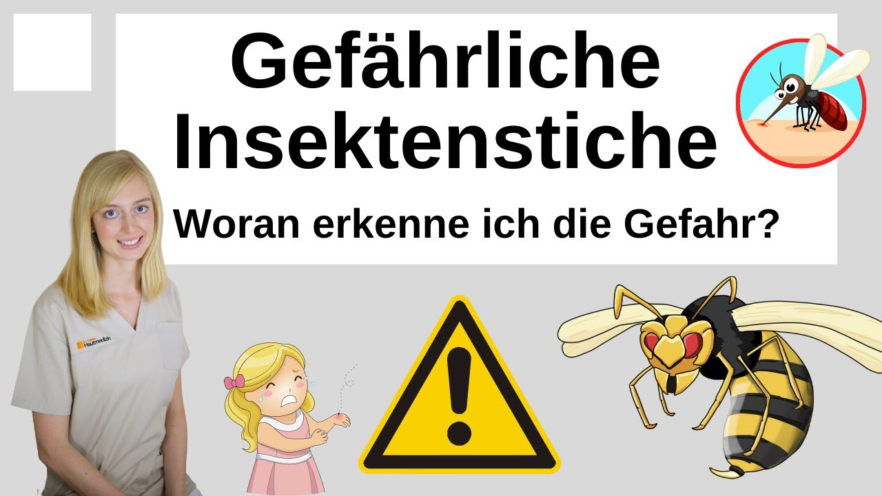 Gefährliche Insektenstiche - woran erkenne ich die Gefahr?