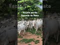 13 de abril de 2026