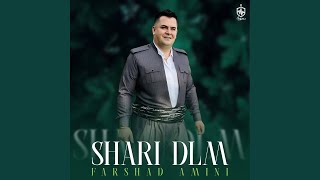 Saril Arzm Has - Farshad Amini