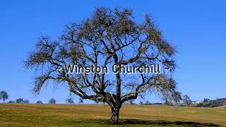 Citations sur la nature || de Winston Churchill - “Les arbres solitaires, s'ils ...