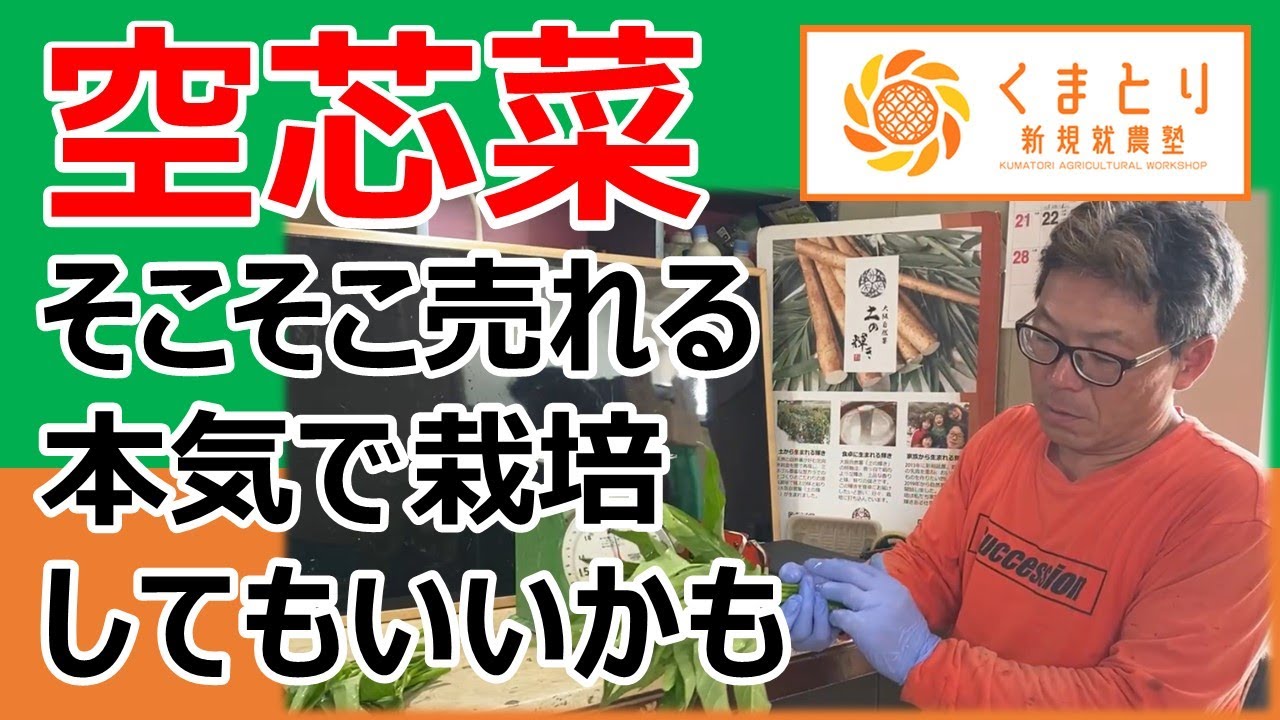 そこそこ売れる空芯菜 本気で栽培してもいいかも - YouTube