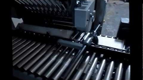 Baum 2020 Paper Folder and 8 Page Return