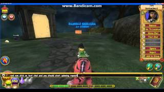 Wizard101 How to Spin Repeatedly