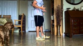 Band Resisted Reverse Lunge