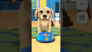Pet Run Unlimited Coins Challenge 🐕 | Best Mobile Running Game #shorts