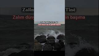 Zalim Dunya Tû Çi Tînê Serê Min Ürtçeşarkılar Şfetteyiz Şfetbeniöneçıkar