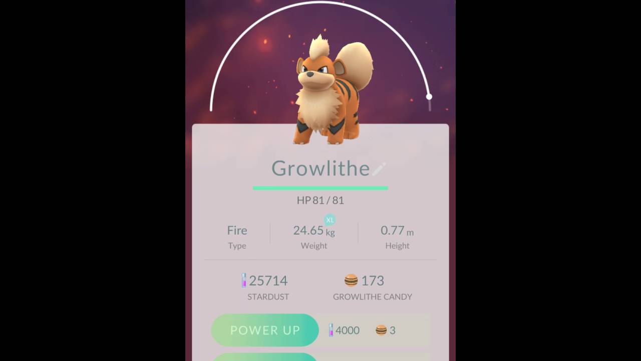 Pokemon Go Evolve Growlithe To Arcanine With Higher Cp Tips And Tricks Lv25 Youtube