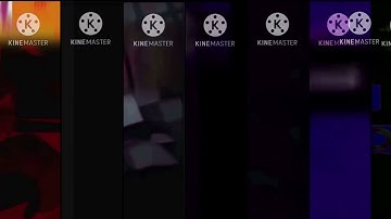 40 shuric scans with are slides