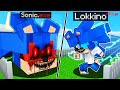 CASA SONIC EXE di LOKKINO contro CASA FLASH di LOKKI su MINECRAFT ITA