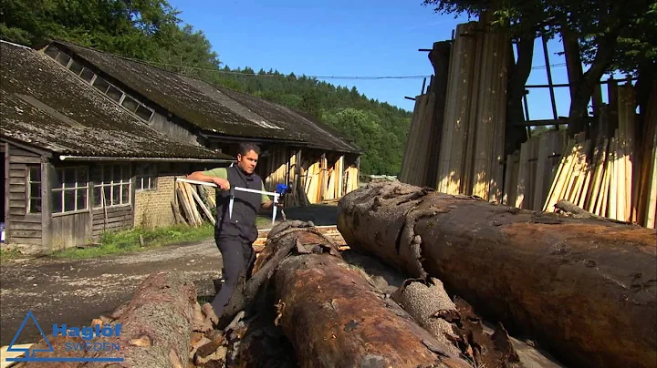 Log tags, Logscaling & Digitech tape