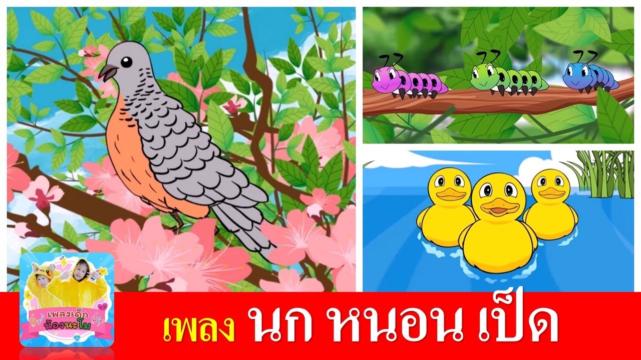 เพลงเด็ก นก หนอน เป็ด | นกเขาบินข้ามเขา | หนอนผีเสื้อ | เป็ดอาบน้ำในคลอง