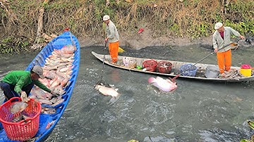 Đi kích cá vuông cạn không biết ở đâu cá kinh khủng | fishing videos