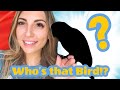 NEW BIRD REVEAL!