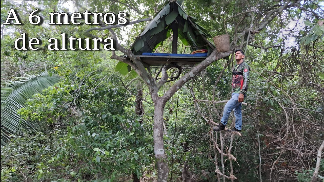 SOZINHO na MATA: CONSTRUÍ uma CABANA no ALTO da ÁRVORE usando ESCADA de CIPÓ 