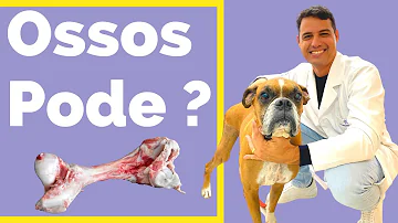 Como preparar osso cru para cachorro?