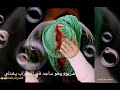 یا حبیبی یا علی نبض قلبی یا علی یا حبیبی یا علی نبض قلبی یا علی