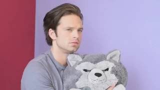 Sebastian Stan | Bucky Barnes | I'm blue |