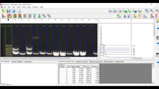 Genetools Molecular Weight Sizing