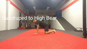 DNS Quadruped Sequences