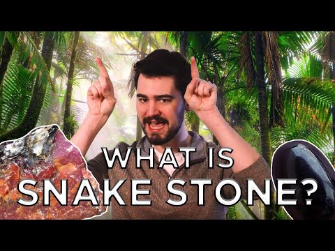 All About Snake Stones | Cobra Pearl, Nagamani & more!