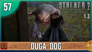 A Stalker 2: Heart of Chornobyl - Veteran difficulty longplay - Episode 57