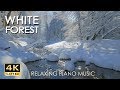 4K White Forest - Relaxing Piano Music & River Sounds - Snowy Winter Nature Video - Ultra HD