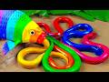 Mancing bebek, ikan koi, katak, belut besar di lubang lumpur - Stop Motion ASMR Memasak Primitif