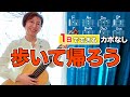【１日で弾く！】歩いて帰ろう / 斉藤和義 ギター弾き語り カバー（歌詞コード付）