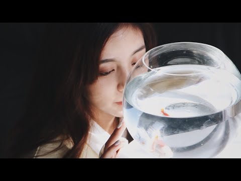 JADE－玻璃屋mv翻拍