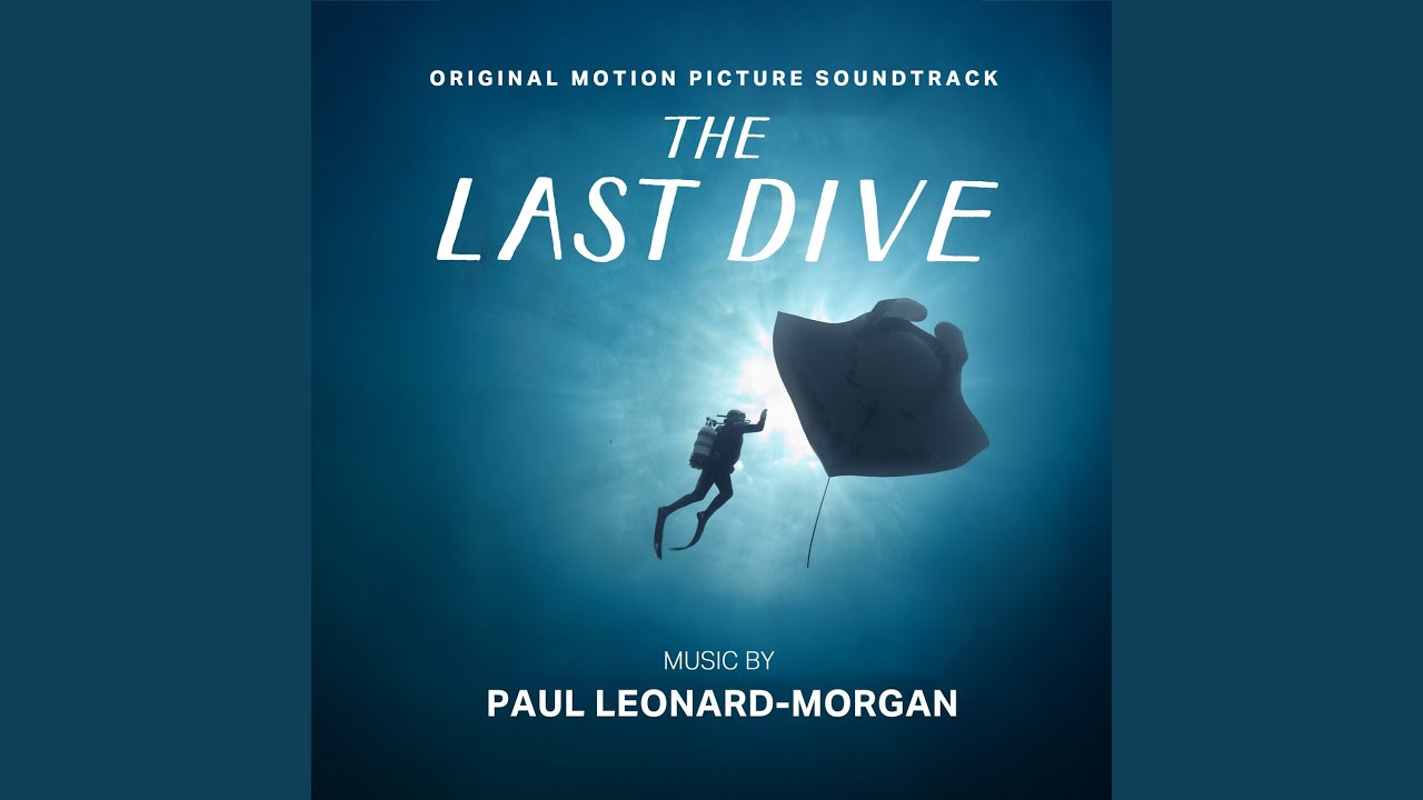 The First Dive auf YouTube ansehen The First Dive auf YouTube ansehen