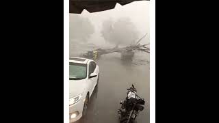 Toofani Barish Se Tree Toot A Malir Cantt Karachi Heavy Rain