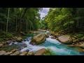 Nature’s White Noise 🌙 | Gentle River Flow and Birds for Deep Rest and Relaxation