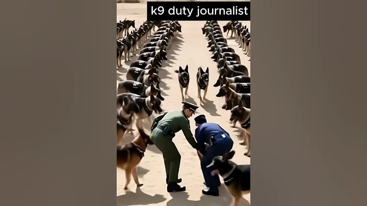 Epic Military Dog Parade 🇺🇸 | Discipline & Style in Action! #Shorts  #shortvideo #k9master