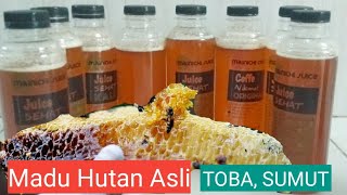 Download lagu MADU HUTAN ASLI TOBA, SUMATERA UTARA #2